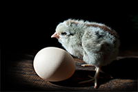 kure 200x134 kure 200x134